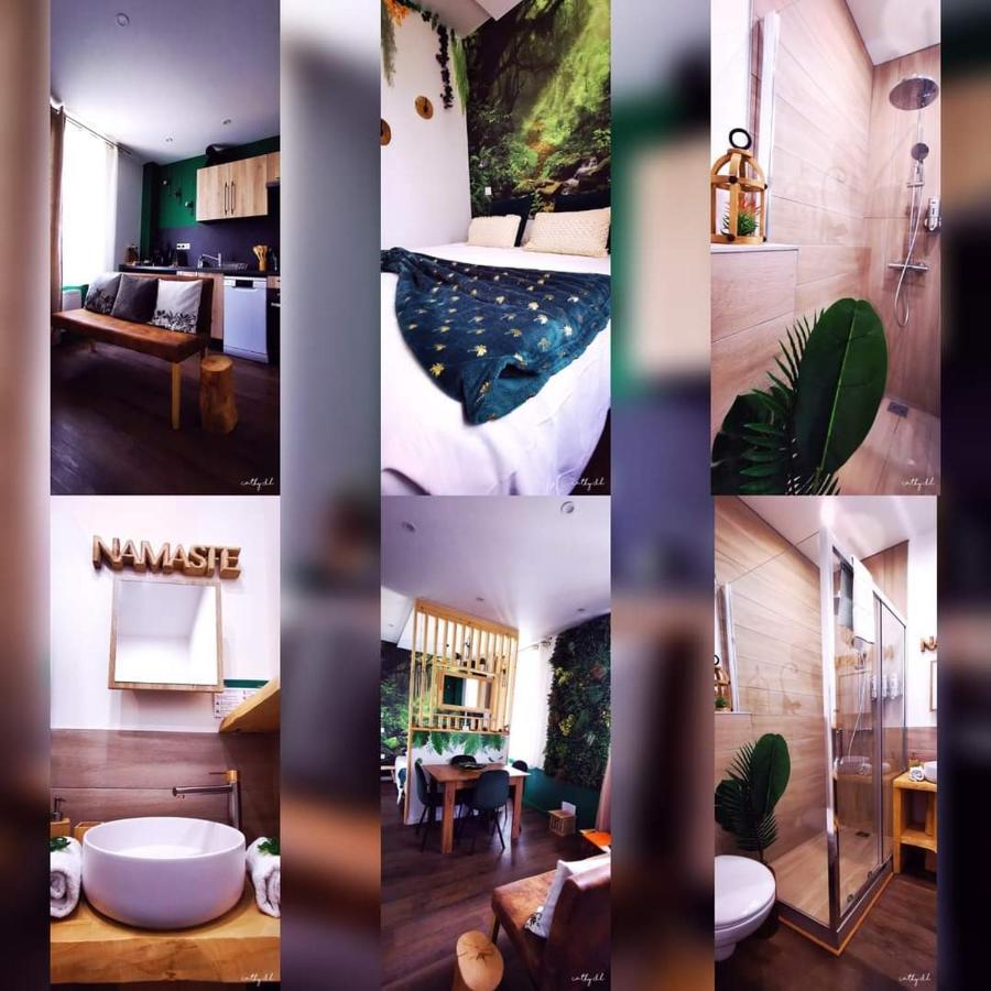 * Les Suites Aux Etoiles * Clermont-Ferrand Eksteriør billede