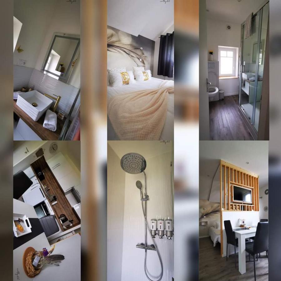 * Les Suites Aux Etoiles * Clermont-Ferrand Eksteriør billede